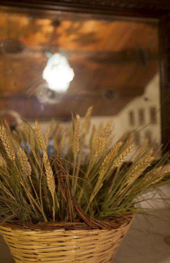 Bed and Breakfast Relais Mastro Cinghiale Paciano Exterior foto