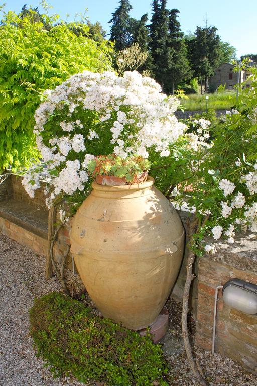 Bed and Breakfast Relais Mastro Cinghiale Paciano Exterior foto