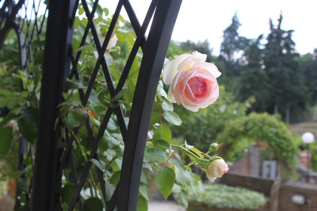 Bed and Breakfast Relais Mastro Cinghiale Paciano Exterior foto
